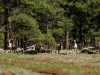 2012 SPRING