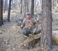 1DEC2017 BULL ELK 6A