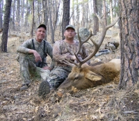 1DEC2017 BULL ELK 6A