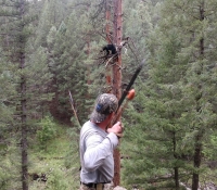 26Aug2018 Archery Bear shot 4B