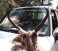 14Sep2018  Rifle Antelope  unit4B