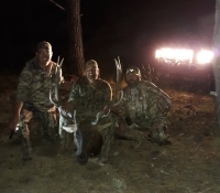6A Archery bull 9-22-19