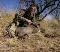 pistol javelina unit 33