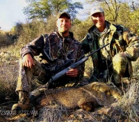 rifle javelina unit 33