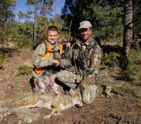 COYOTE 2011