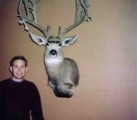 mule deer unit 12a