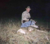 2004 mule deer unit 12a