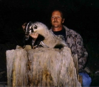 BADGER