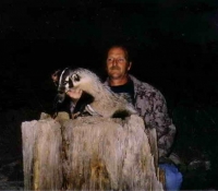 BADGER 2011