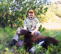 Daves-Aug-2014-bear-2