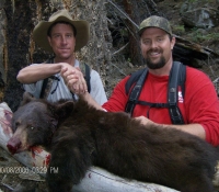 pistol bear unit 22n