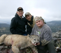 2014-Feb Mt. Lion