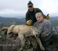 2014- Feb Mt. Lion