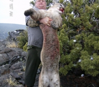 2014-Feb Mt. Lion