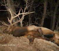 01Oct2014 Unit 10 Early Bull