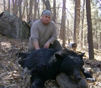 05Nov2014 Bear