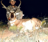 2015 5B antelope