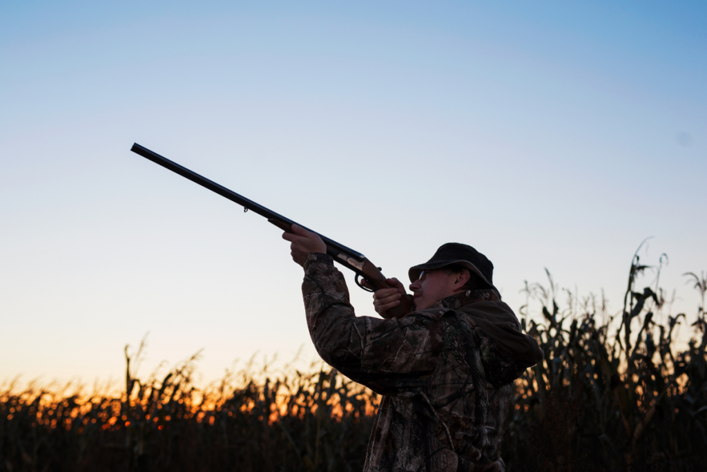 Hunter in camouflage aiming a shotgun at sunset in a cornfield.